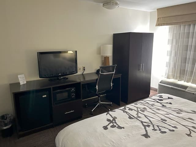 Room, 1 King Bed, Accessible, Non Smoking