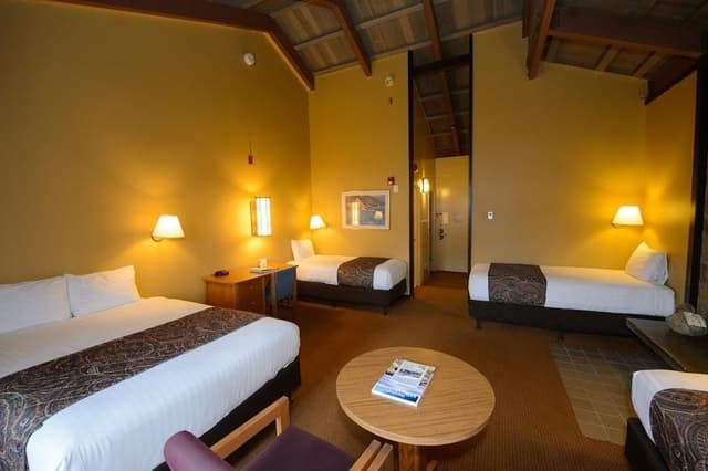 Premium Room, Multiple Beds
