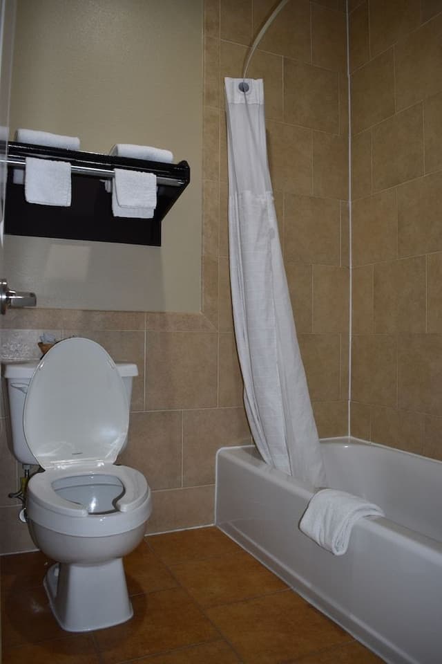 Room, 1 King Bed