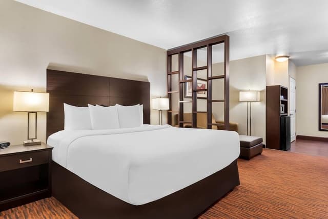 Suite, 1 King Bed with Sofa bed