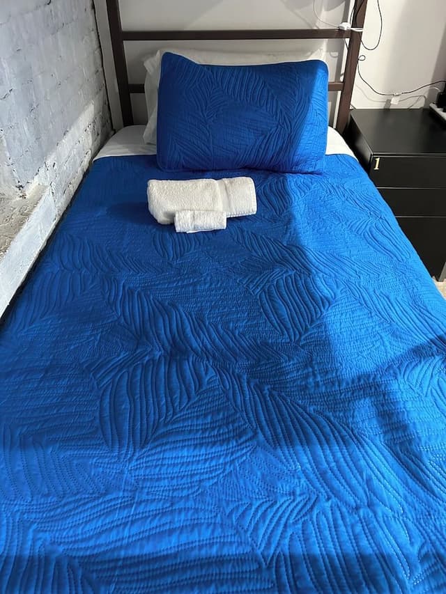 Premier Shared Dormitory (BOTTOM BUNK TWIN FOR 1 GUEST)