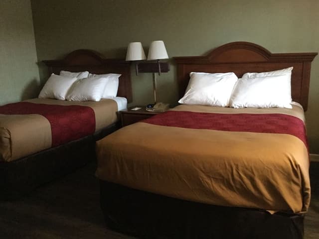 Standard Double Room