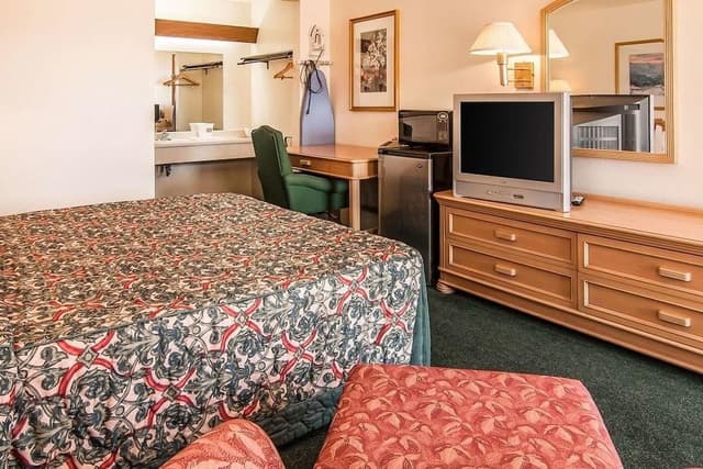 Room, 1 King Bed