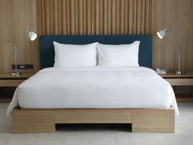 Bluemoon Suite