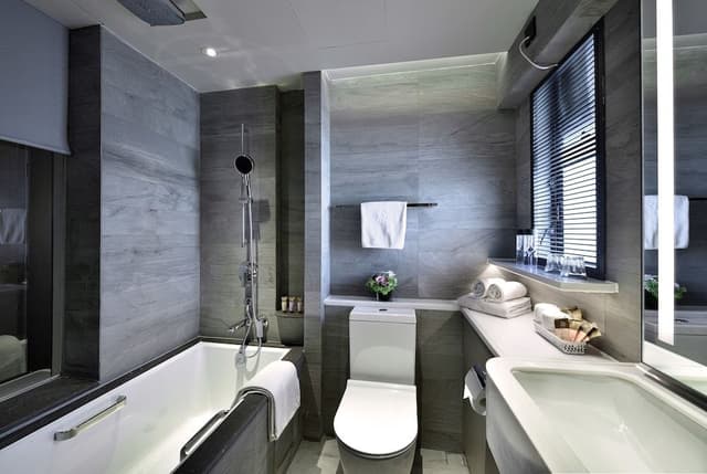 Deluxe King Suite