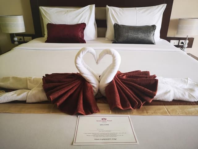 Deluxe Double Room with Balcony and Partial Seaview