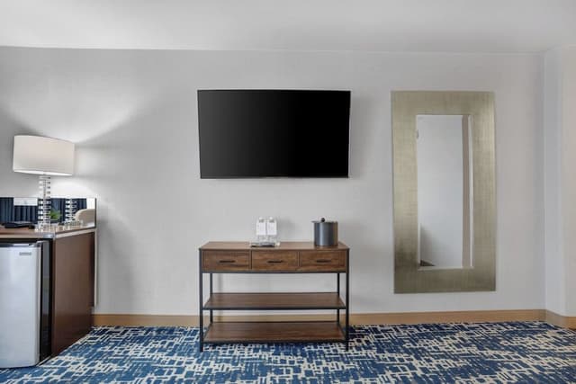 Room, 1 King Bed