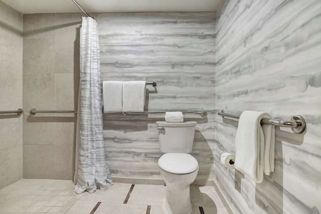 Room, 1 King Bed, Accessible (SHOWER)