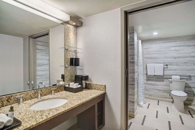 Room, 1 King Bed, Accessible (SHOWER)