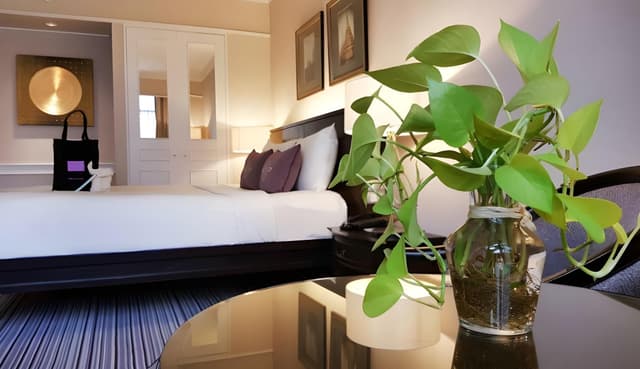Premier Sustainability Room