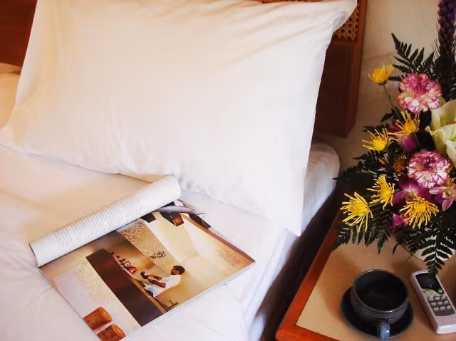 One Bedroom Apartment