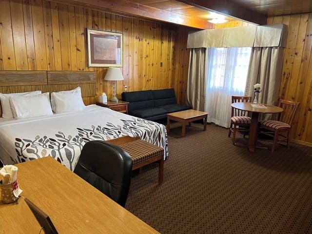 Standard Room, 1 King Bed with Sofa bed
