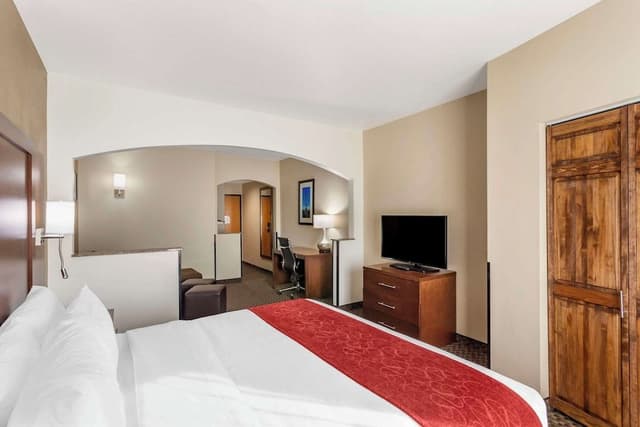 Suite, 1 King Bed with Sofa bed, Non Smoking