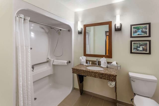 Suite, 1 King Bed with Sofa bed, Non Smoking