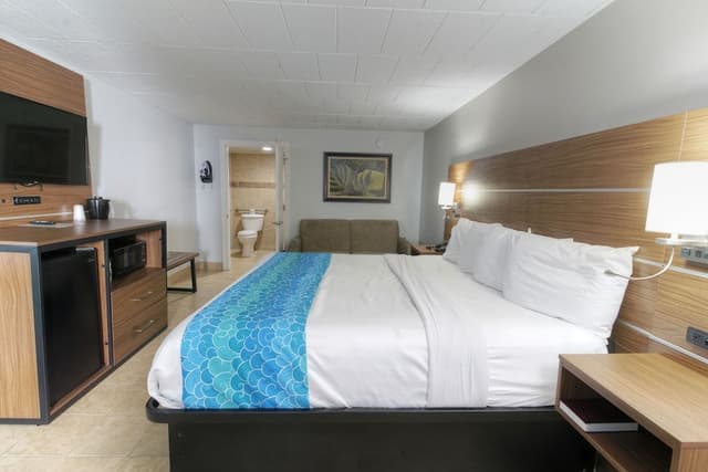 Deluxe Studio, 1 King Bed