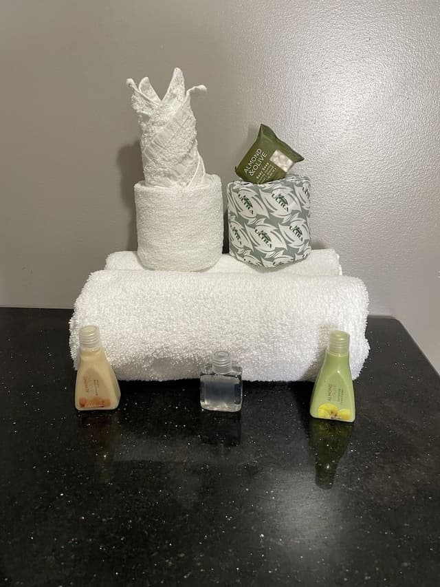 Deluxe Studio, 1 King Bed