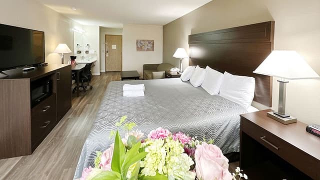Comfort Single Room