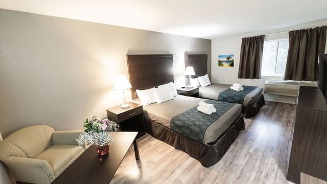 Pet Double Room