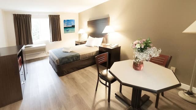 Comfort Single Room