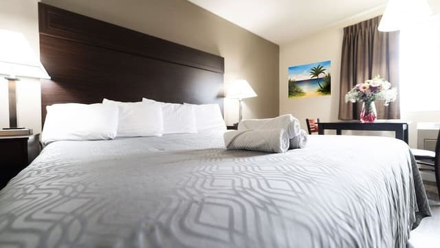 Comfort Single Room