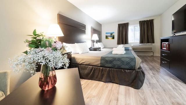 Pet Double Room