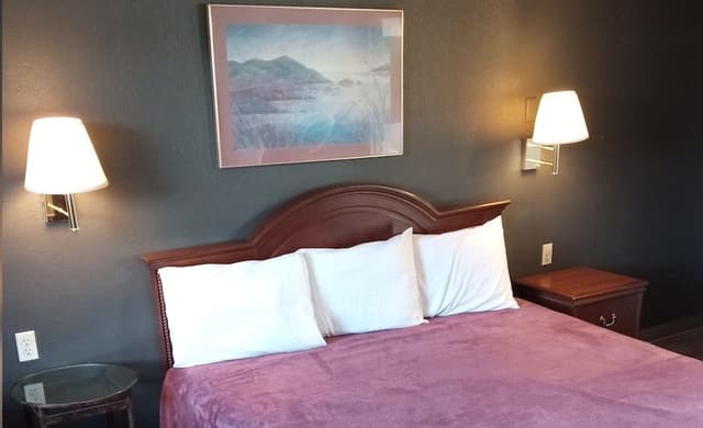 Room, 1 King Bed