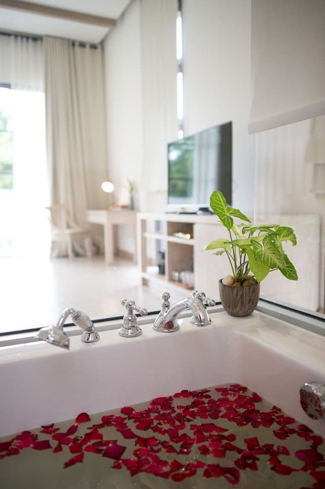 Deluxe Plantation Room