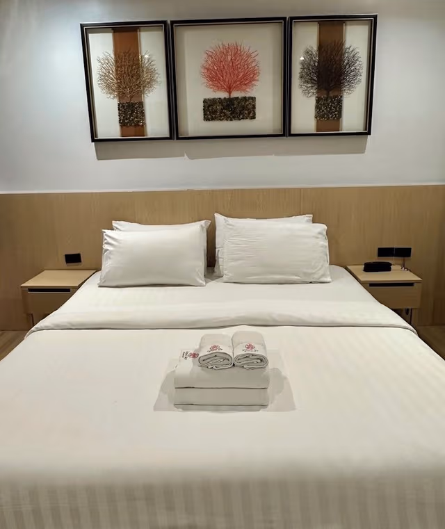 Superior Double or Twin Room, Non Smoking
