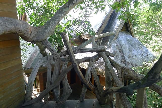 Tree House (Fan, Share bathroom)
