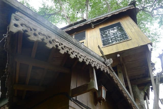 Tree House (Fan, Share bathroom)