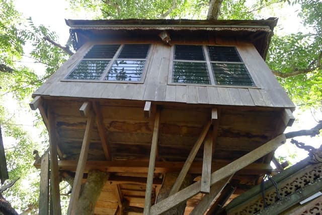 Tree House (Fan, Share bathroom)
