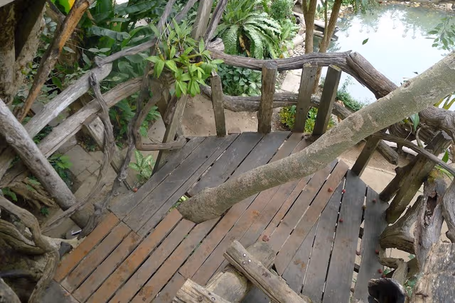 Tree House (Fan, Share bathroom)