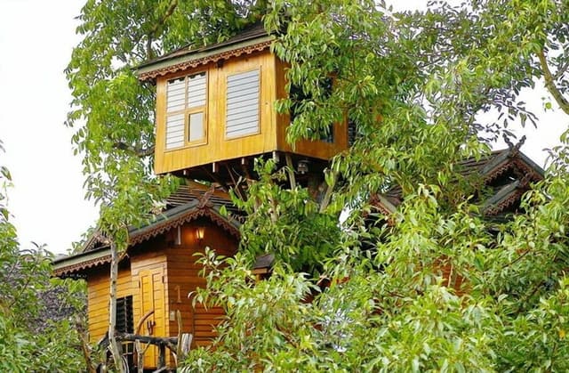 Tree House (Fan, Share bathroom)