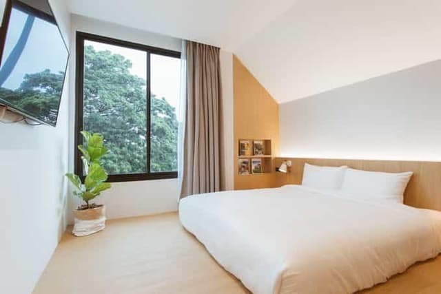 Luxury Room