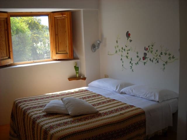 Comfort Apartment