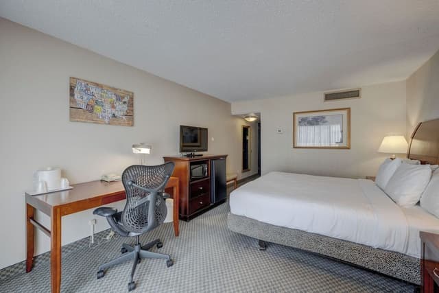 Accessible, 1 King Bed Room