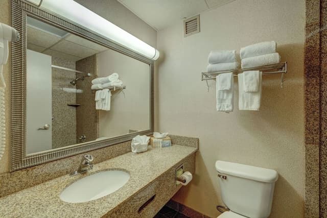 Suite, 1 Bedroom