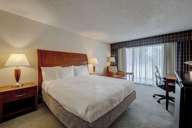 Accessible, 1 King Bed Room