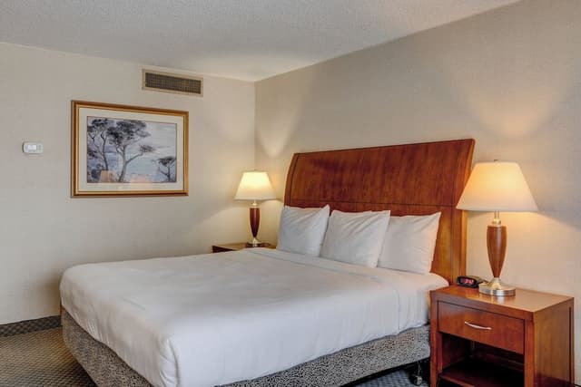 Accessible, 1 King Bed Room