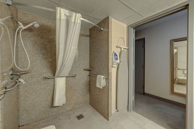 Accessible, 1 King Bed Room