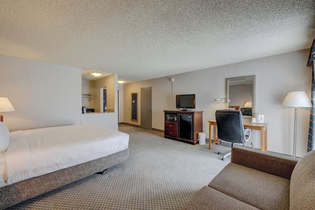 Suite, 1 Bedroom