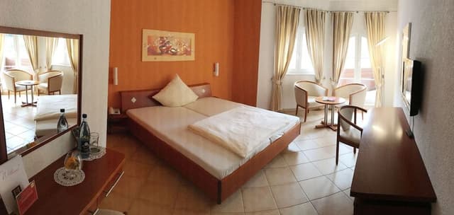 Double Room Single Use