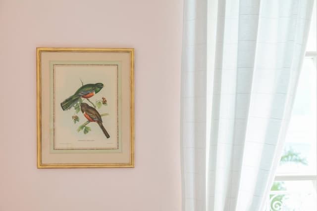 Standard Single Room, Lake View