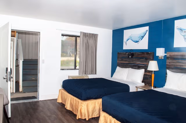 Standard Room, 2 Double Beds