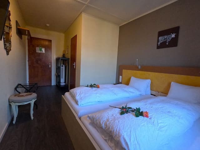 Classic Double or Twin Room, Balcony, Mountain View