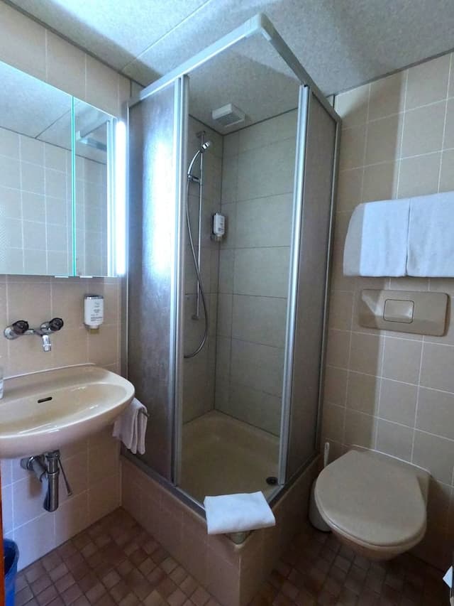 Classic Double or Twin Room, Balcony, Mountain View