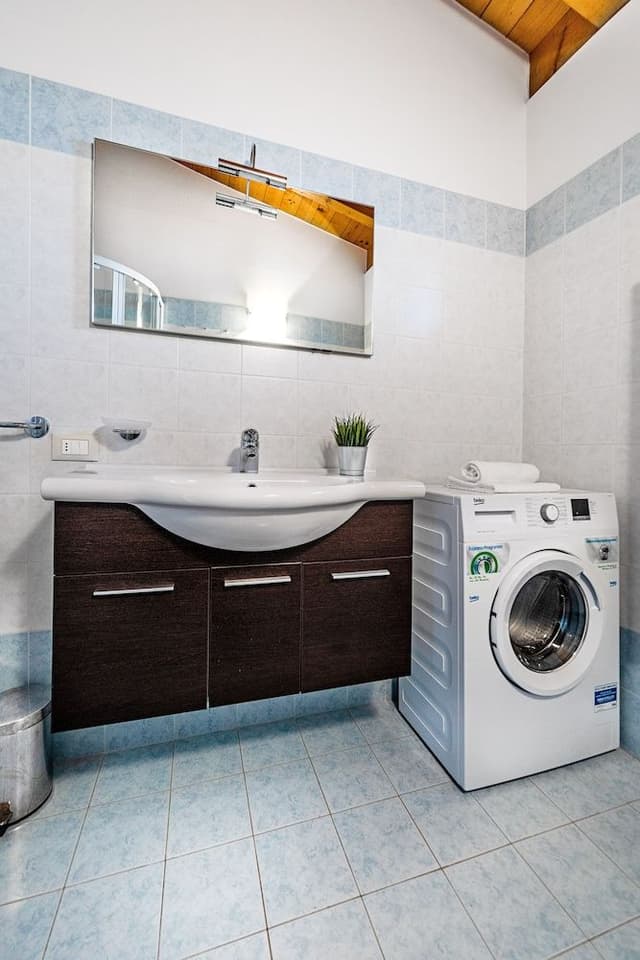 Basic Apartment