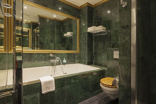 Premium Room (Plus)