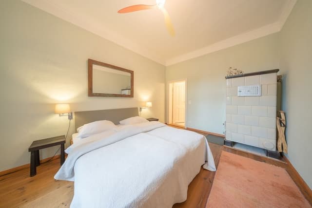 Basic Apartment (Große Suite)