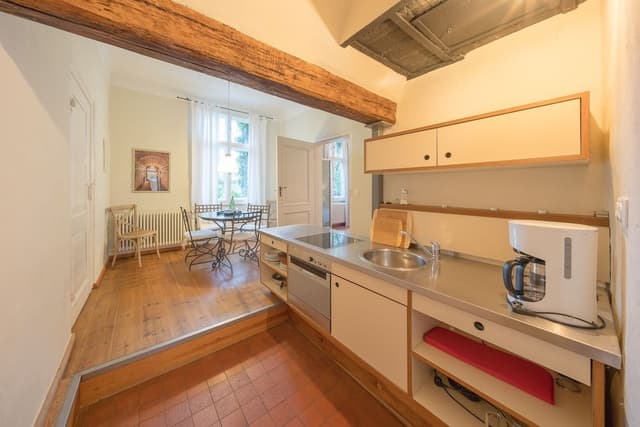 Basic Apartment (Große Suite)